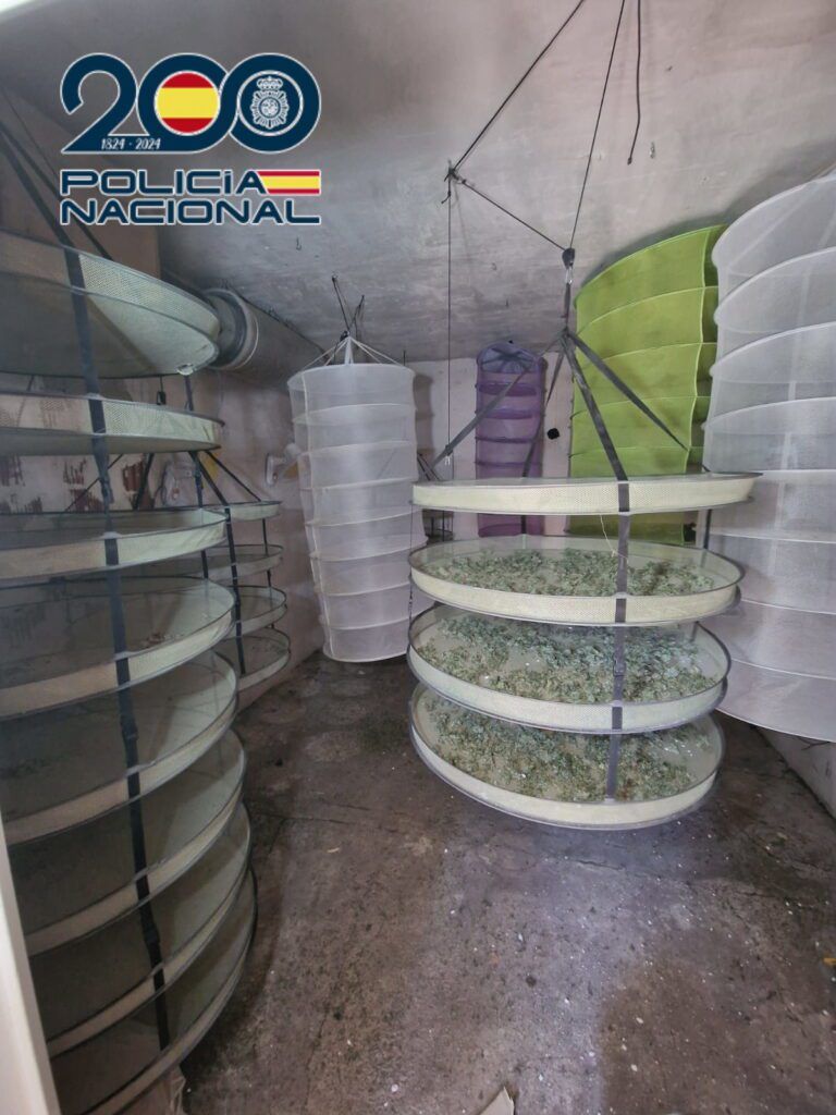 Secadero cultivo indoor - Policía Nacional